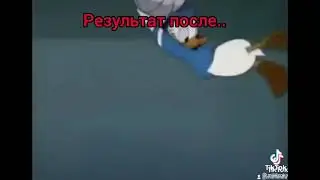 Вакцинация 2021(