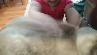 Девочка целует котика.
