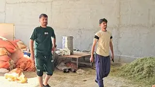 Will Hashem Help? Jamshid's Request for Food and Fodder Storage