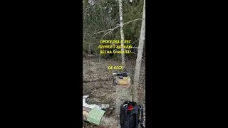 🌦 ПВД в лес 🌲01.04.2023 📻 Радиосвязь КВ