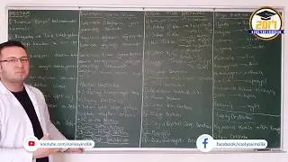 3-) Türk ve Dünya Destanları