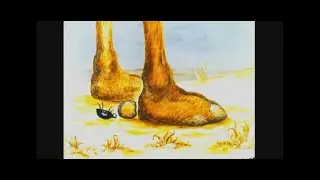 Pixies - Where Is My Mind? (Music Video)