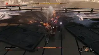 Sekiro: Shadows Die Twice_20240608144636