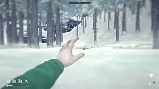 The Long Dark - Часть 4