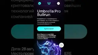 Umbrella Pro Bullrun про бычий рынок и будущее крипты и приятной обстановке