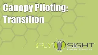 Canopy Piloting: Transition