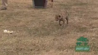 Tommy's First Lure-Cincinnati Zoo