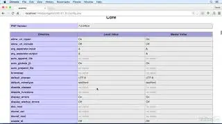 Running phpinfo to check the PHP configuration