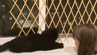 Кажется ему не нравится