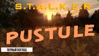 S.T.A.L.K.E.R - PUSTULE ✉✍ Обзор. История похмелья