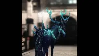 #horse #starstableonlinehorses #ssoedit #starstableonlineedit #edit #horsegame #starstablehorses