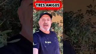 🧢 Three friends 😁🤣🤣 