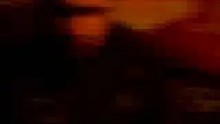 5 jagerboom