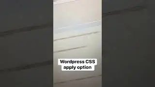 Top Web Developer Reveals EASY Ways to Apply CSS in WordPress