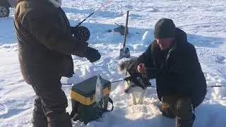 Омуль сегодня клевать не хотел, поехали ловить окуня