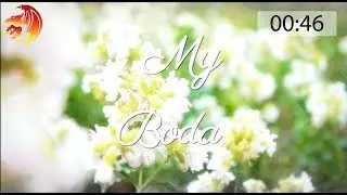 SlideShow Wedding Proyecto editable GRATIS Adobe After Effects CC