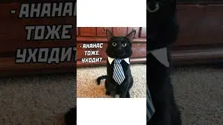 АНАНАС УХОДИТ))) Шорты Совы 5 | 