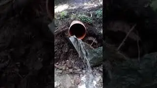 Umweltgruppe Olang | Illegale Abwasserentsorgung im Wald