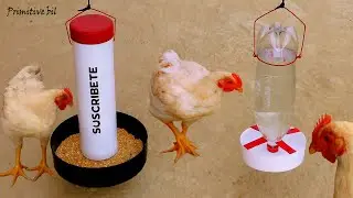 Como hacer comedero y bebedero para gallinas y pollos de PVC