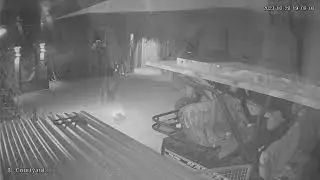 Intruder Alert (Javelina)