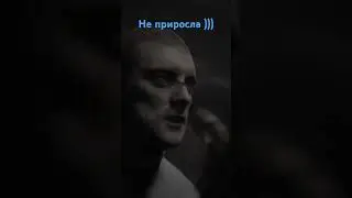игра ИНДИКА