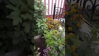 Җәйләр...