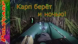 CARP FISHING AT NIGHT FROM A BOAT IN THE REEDS WITH A JIG