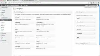What are Widgets in WordPress, and how do I use them?