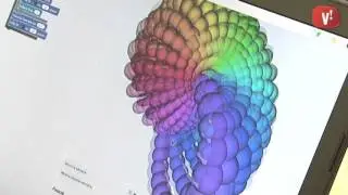 La Fundació porta els Beetleblocks a Viladecans