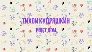 Тихон Кудряшкин ищет дом - 2