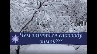 Чем заняться садоводу зимой?