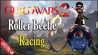 Disco Gizmo's Roller Beetle Racing! Part 2