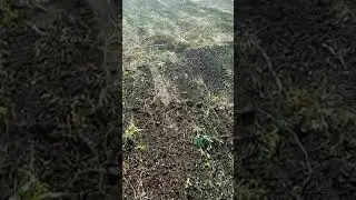 Убираємо город