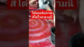 ได้หน่อสับปะรดสีได้ไวทำตามนี้ #ไม้ประดับ #ไม้สวยงาม #ไม้มงคล #ไม้จัดสวน #การขยายพันธุ์พืช