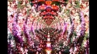 VJ SET with OCDJ