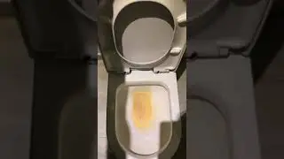 Flushing Fanta Soda down the Toilet 