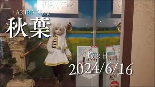 【Vlog】秋葉原でフィギュア見てきてびびった。最近の秋葉はメイドさんとフィギュアばかりだ。