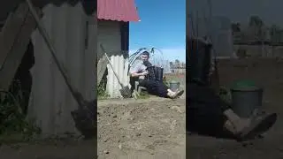 сектор газа Туман под гармонь, жизнь в деревне хороша, садим картошку неспеша