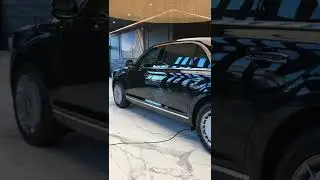 Круговой Обзор Aurus Senat