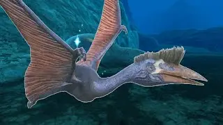 Swimming Quetzal
