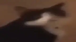 Not funny didn't laugh