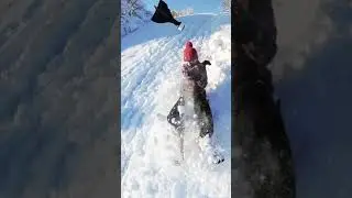 Fun times in the snow ❄️🛷