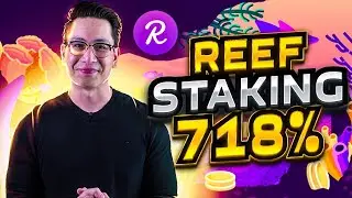This is the most profitable REEF coin coin STAKING ever 🚀 reef coin staking