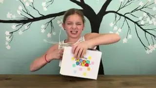 Disney Tsum Tsum Subscription Box - Beauty and the Beast