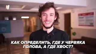 Студенты отвечают на сложные вопросы