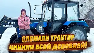Подготовка к весенним работам! Инкубация, осеменение, посев | Молодая Ферма