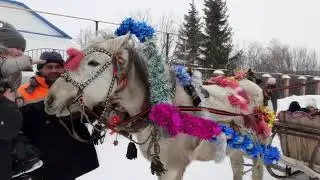 Катание на лошадке