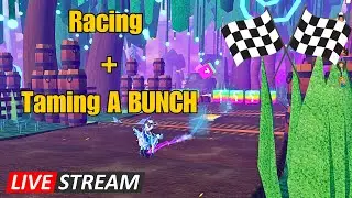 RACING + TAMING Horse Life Livestream!