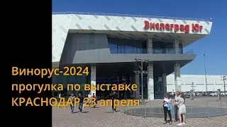 прогулки по выставке ВИНОРУС-2024 в Краснодаре