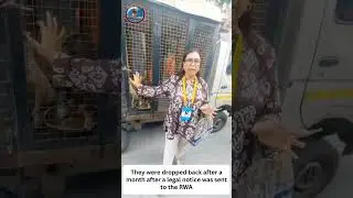 Gated colonies have made life of Indian dogs and their feeders miserable😰😰